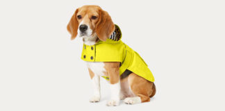 Abbigliamento di lusso per cani