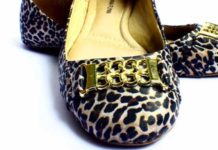 Gli accessori animalier