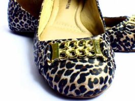 Gli accessori animalier