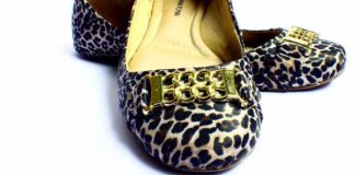 Gli accessori animalier
