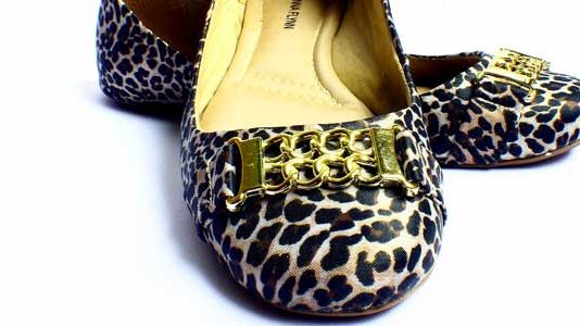 Gli accessori animalier