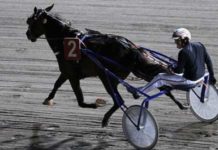 L’ippodromo del Savio di Cesena