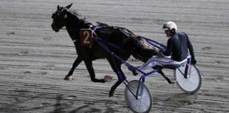 L’ippodromo del Savio di Cesena